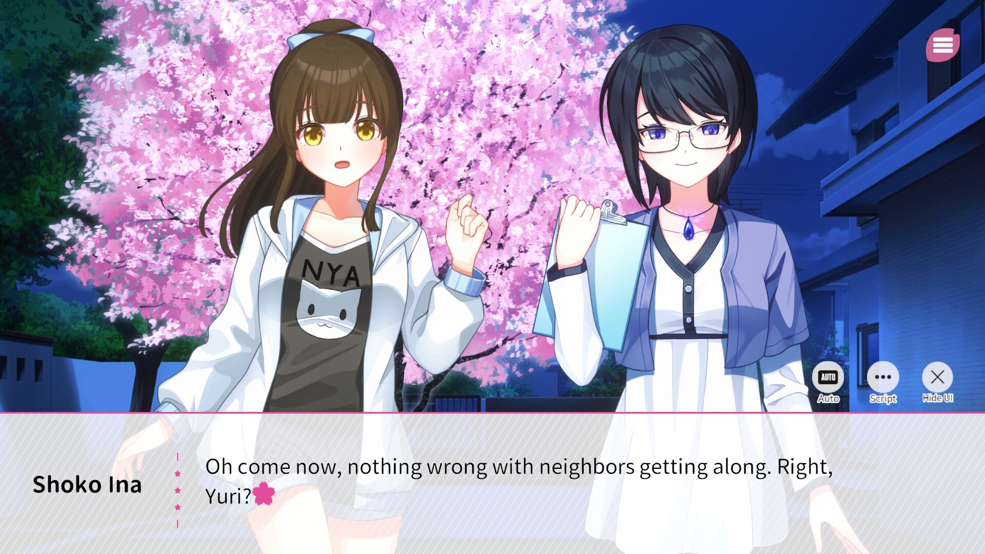 Screenshot 14