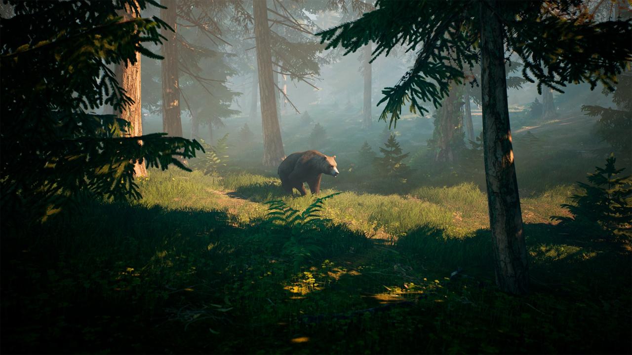 Screenshot 20
