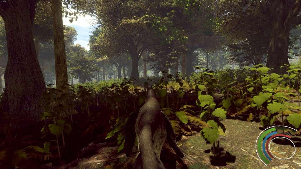 Screenshot 11