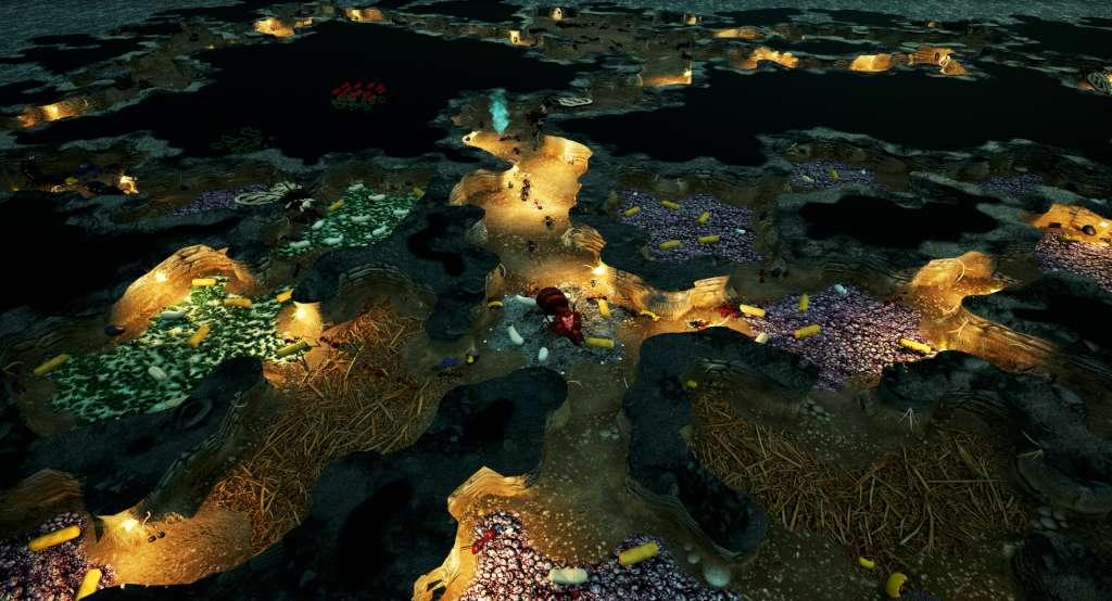 Screenshot 17