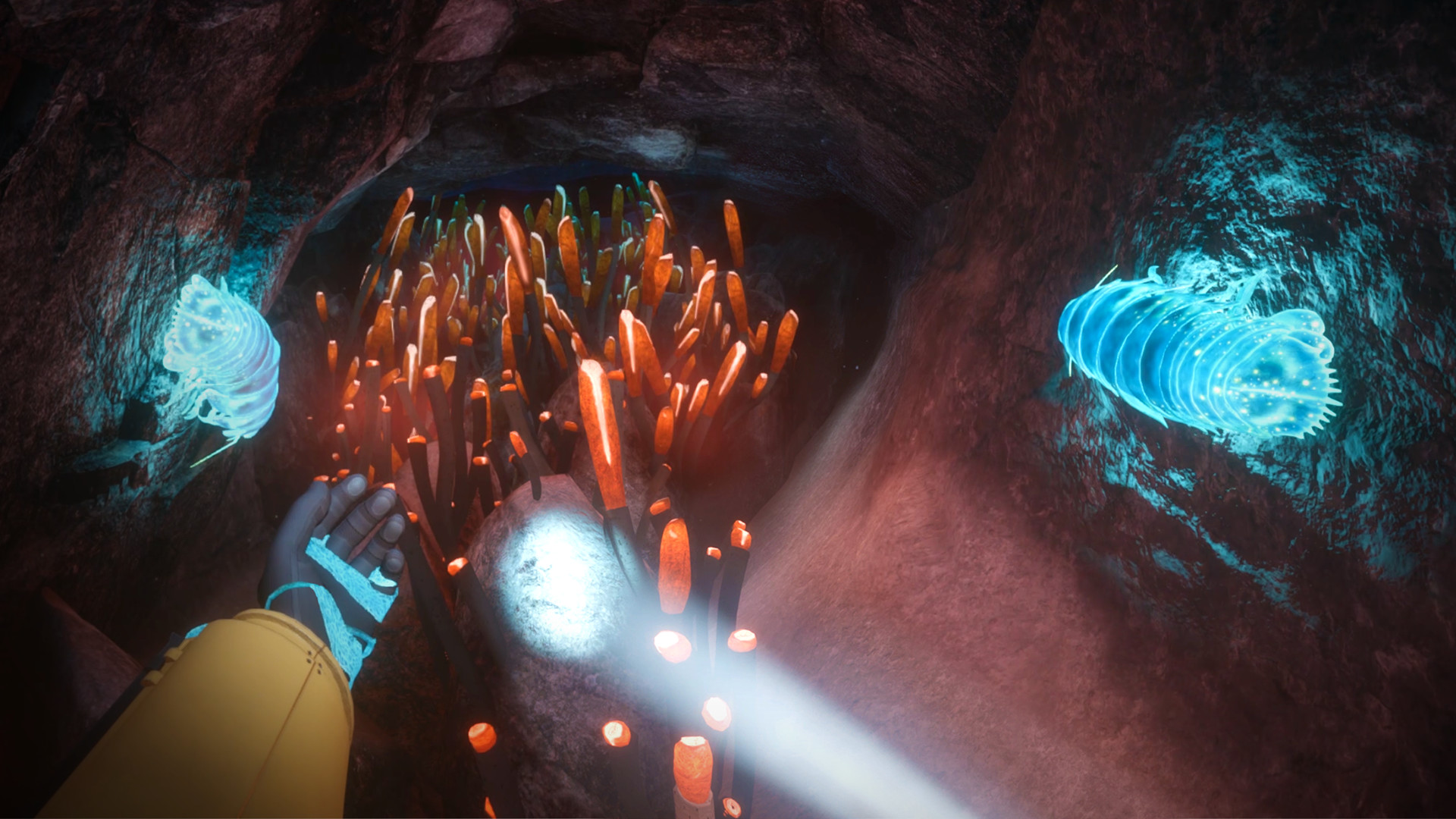 Screenshot 18