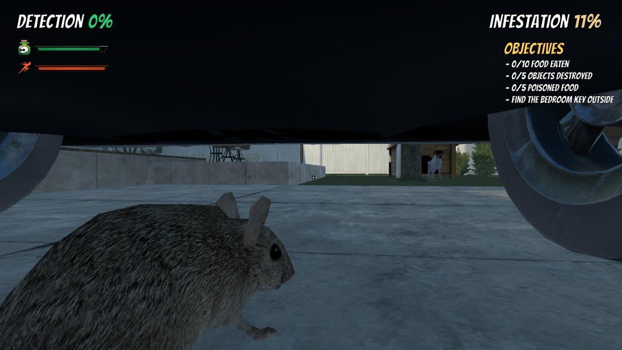 Screenshot 19