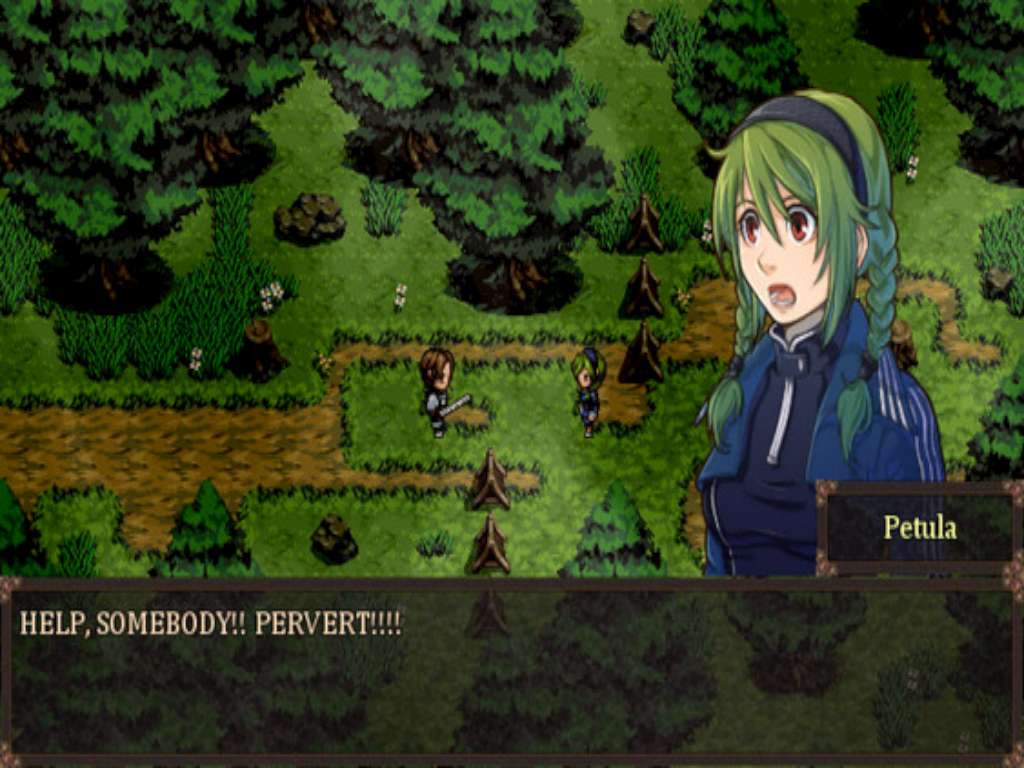 Screenshot 12