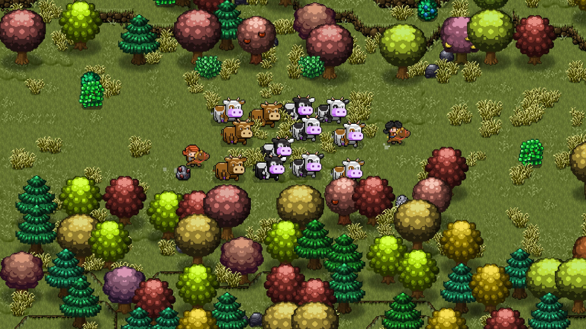 Screenshot 17