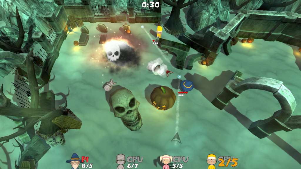 Screenshot 13