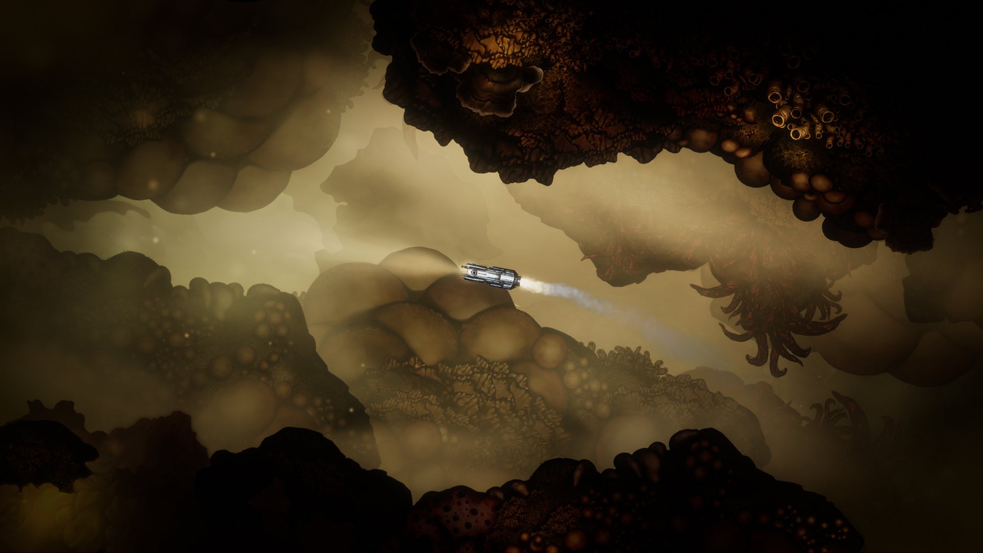 Screenshot 15