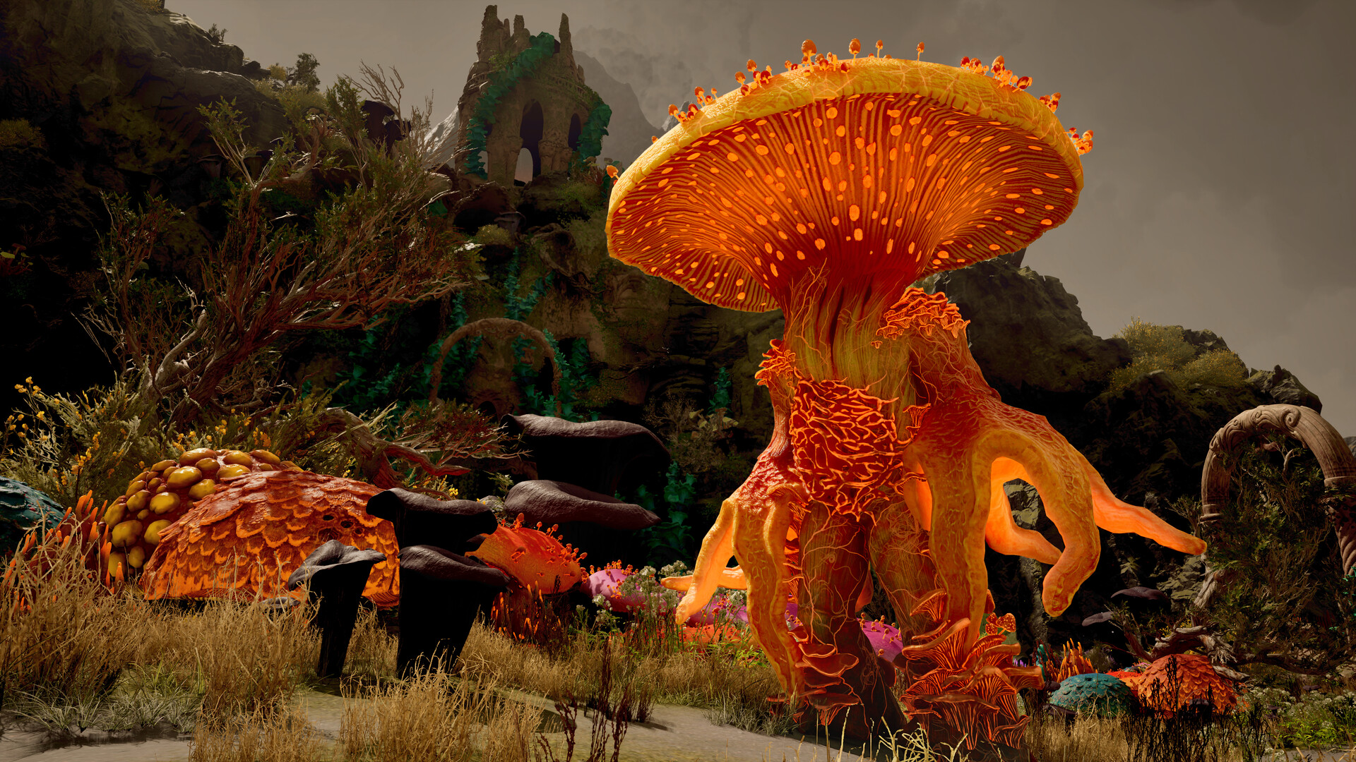 Screenshot 20