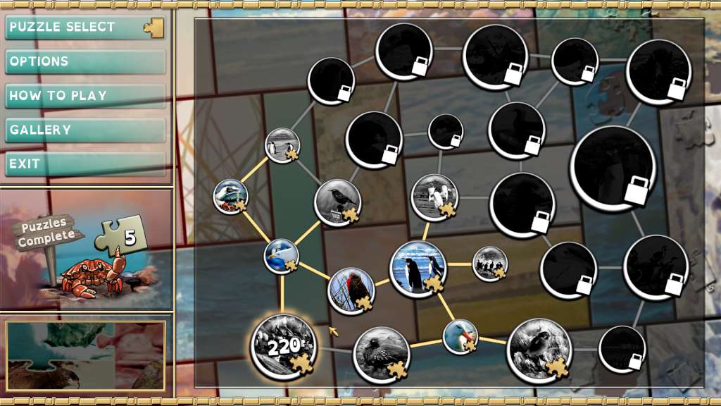 Screenshot 13