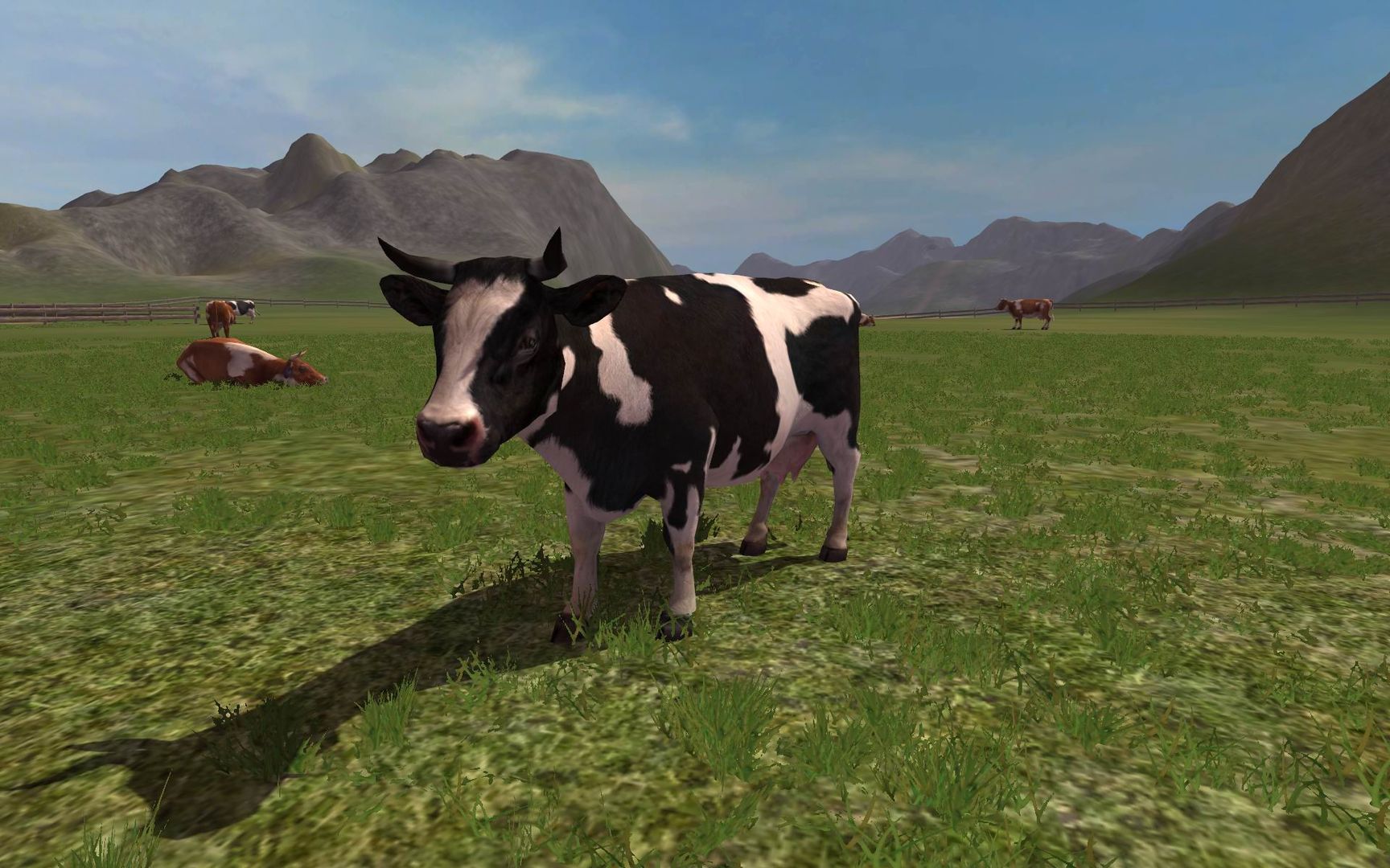 Screenshot 14