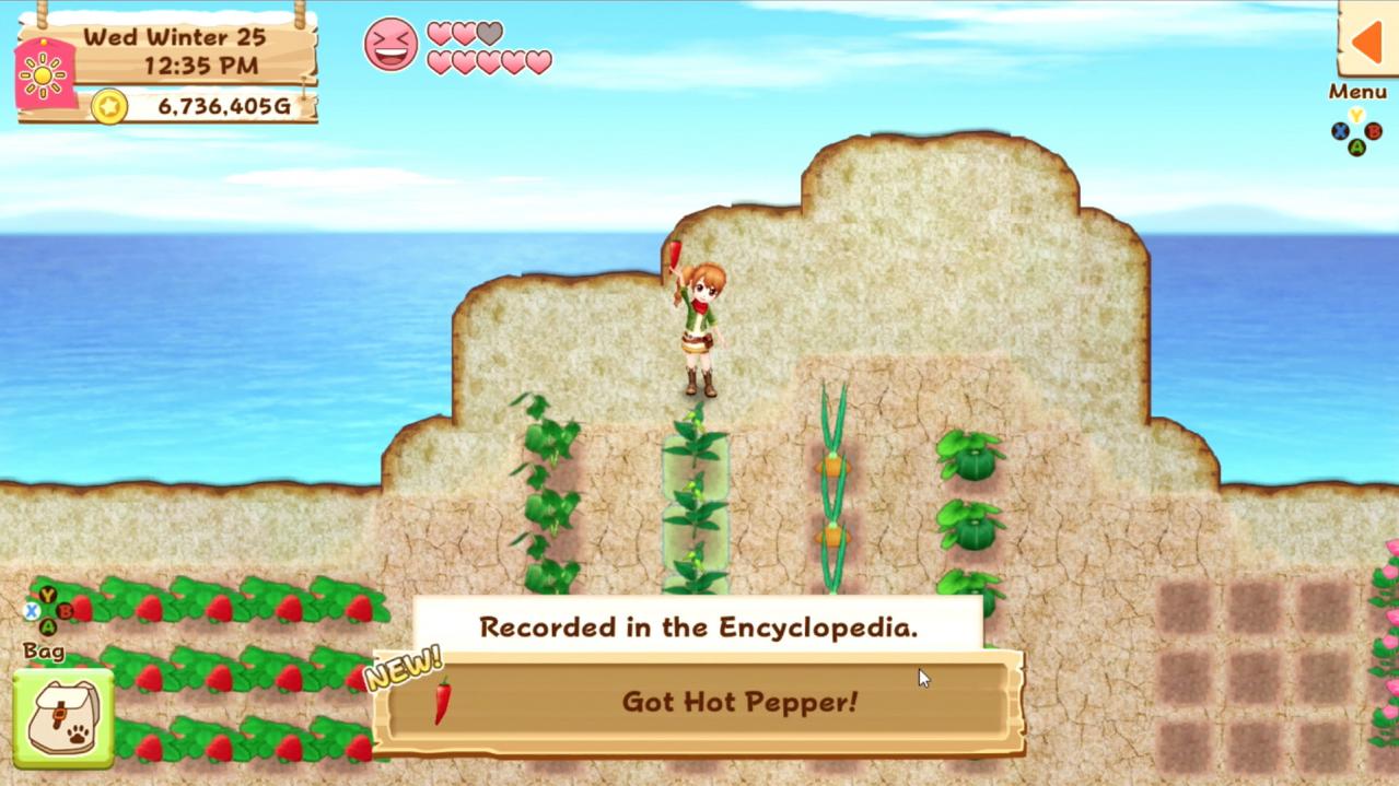 Screenshot 13