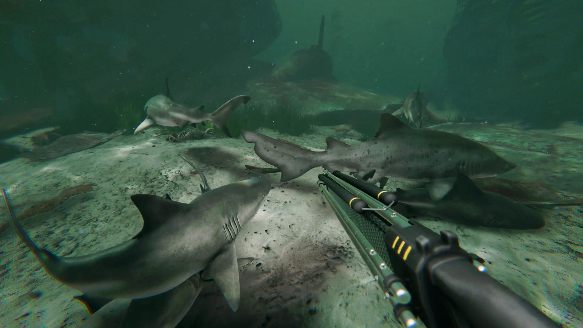 Screenshot 19